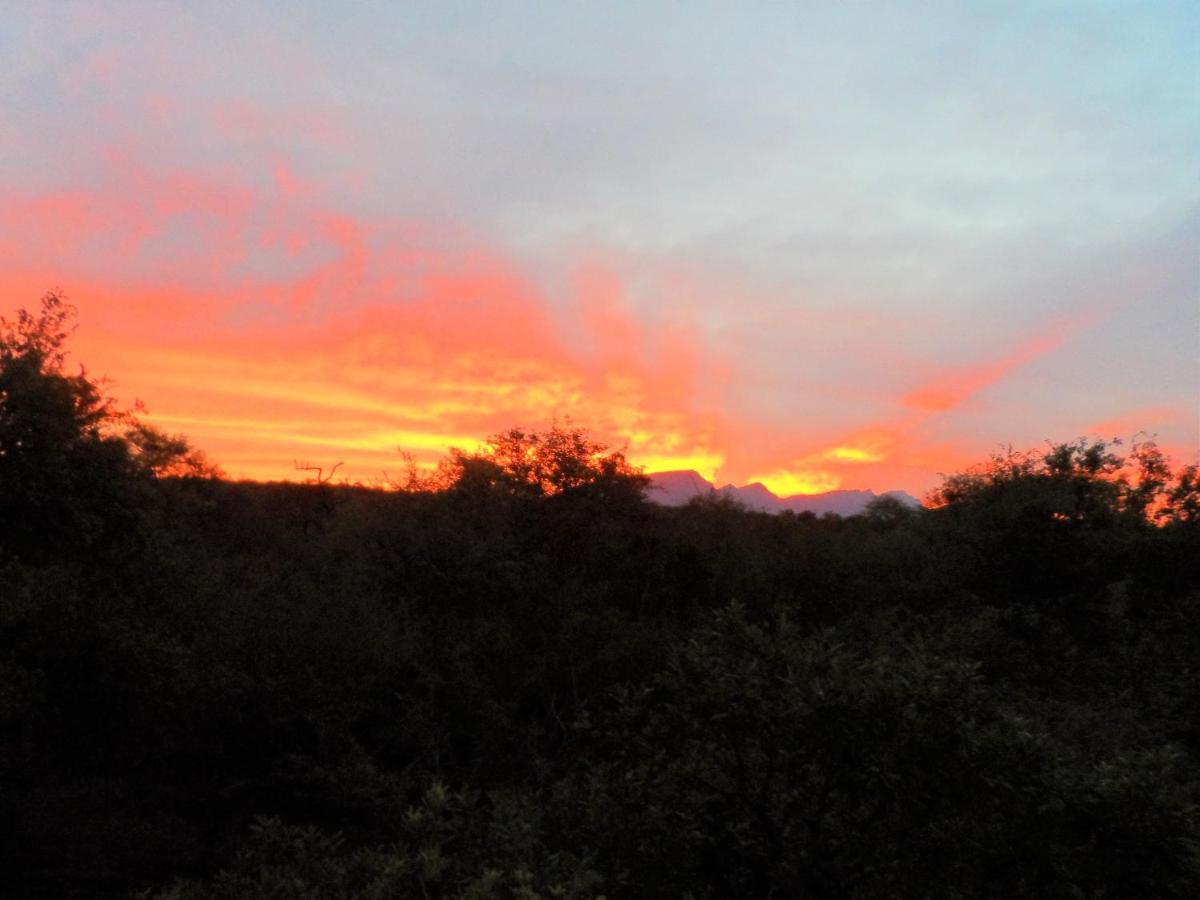 Shikwari Nature Reserve 호에드스프뤼트 외부 사진