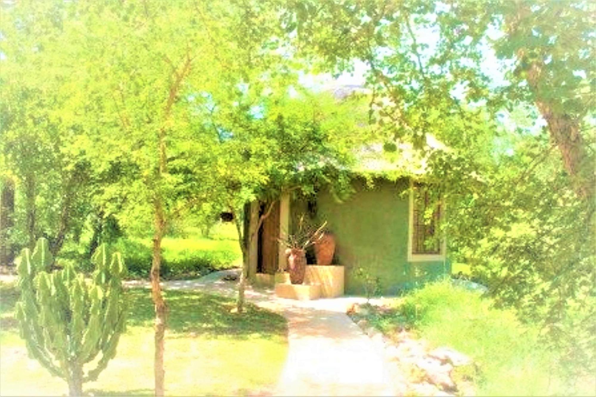 Shikwari Nature Reserve 호에드스프뤼트 외부 사진